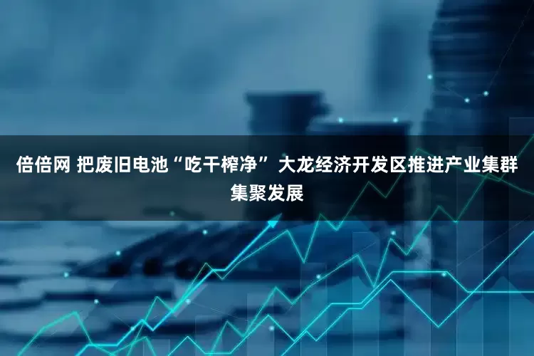 倍倍网 把废旧电池“吃干榨净” 大龙经济开发区推进产业集群集聚发展